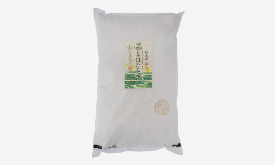 有機 白米 森のくまさん（10kg）