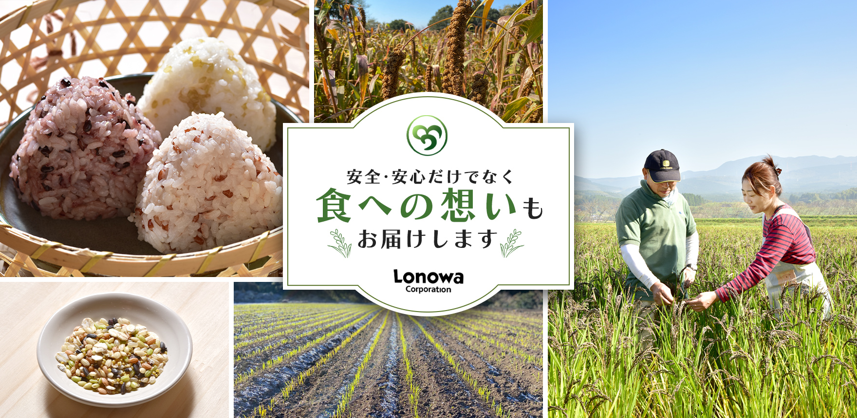 熊本県菊池市の無農薬のオーガニック食品なら【株式会社ろのわ】 | 有機JAS認定