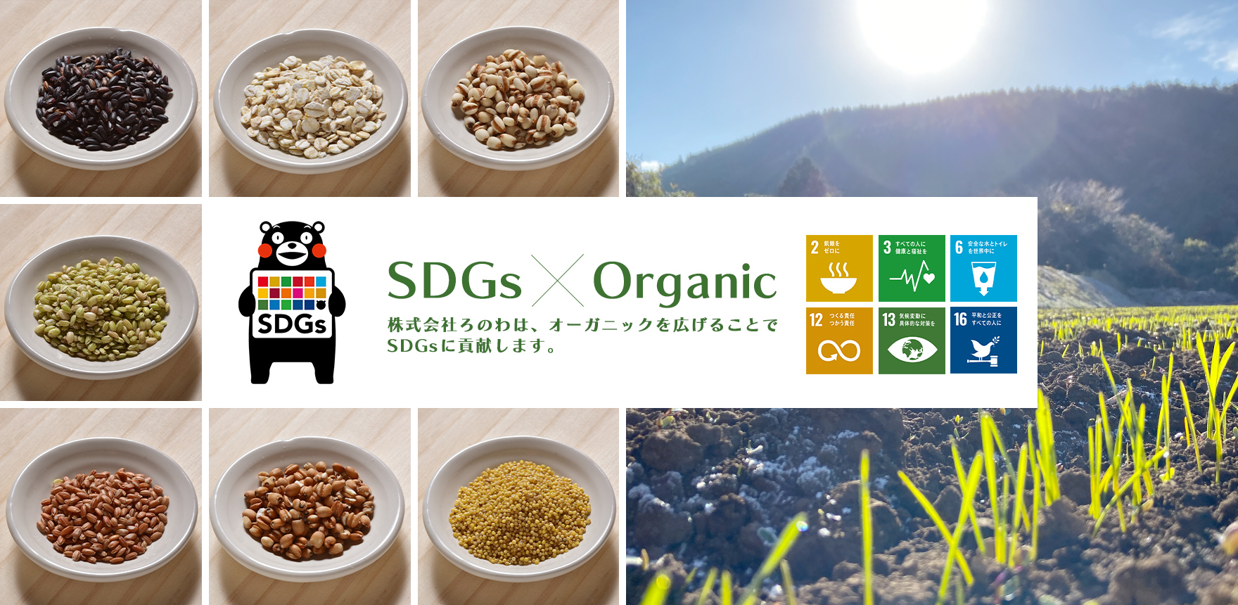 SDGs × Organic　株式会社ろのわは、オーガニックを広げることで SDGsに貢献します。